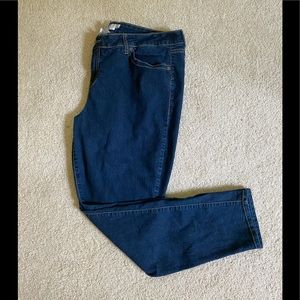 Torrid Classic Skinny Jean 22R